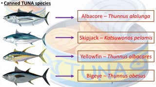 • Canned TUNA species
7
Skipjack – Katsuwonos pelamis
Bigeye – Thunnus obesus
Yellowfin – Thunnus albacares
Albacore – Thunnus alalunga
 
