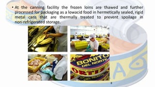 • At the canning facility the frozen loins are thawed and further
processed for packaging as a lowacid food in hermetically sealed, rigid
metal cans that are thermally treated to prevent spoilage in
non‐refrigerated storage.
8
 