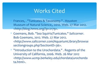 Works Cited
∗ Frances, . "Tunicates & Taxonomy." . Houston
  Museum of Natural Science,, 2010. Web. 27 Mar 2012.
  <http://blog.hmns.org/?p=2179>.
∗ Goemans, Bob. "Sea Squirts/Tunicates." Saltcorner.
  Bob Goemans, 2012. Web. 27 Mar 2012.
  <http://www.saltcorner.com/AquariumLibrary/browse
  sectiongroups.php?SectionID=36>.
∗ "Introduction to the Urochordata." . Regents of the
  University of California, 2006. Web. 26 Mar 2012
  <http://www.ucmp.berkeley.edu/chordata/urochorda
  ta.html>.
 