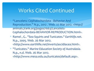 Works Cited Continued
∗ “Lancelets: Cephalochordata - Behavior And
  Reproduction.” N.p., 2012 . Web. 27 Mar 2012. <http://
  animals.jrank.org/pages/1663/Lancelets-
  Cephalochordata-BEHAVIOR-REPRODUCTION.html>.
∗ Ramel , G.. "Sea Squirts and Tunicates." Earthlife.net.
  N.p., 2005. Web. 26 Mar 2012.
  <http://www.earthlife.net/inverts/ascidiacea.html>.
∗ "Tunicates." Marine Education Society of Australasia.
  N.p., n.d. Web. 26 Mar 2012.
  <http://www.mesa.edu.au/tunicates/default.asp>.
 