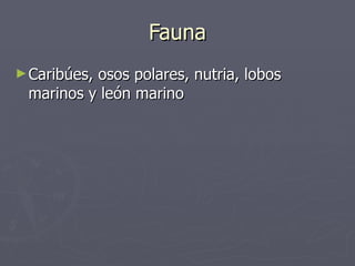 Fauna Caribúes, osos polares, nutria, lobos marinos y león marino 