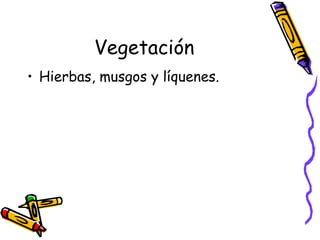 Vegetación Hierbas, musgos y líquenes.  