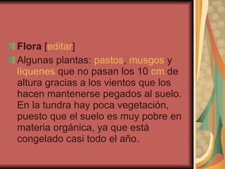 Flora  [ editar ] Algunas plantas:  pastos ,  musgos  y  líquenes  que no pasan los 10  cm  de altura gracias a los vientos que los hacen mantenerse pegados al suelo. En la tundra hay poca vegetación, puesto que el suelo es muy pobre en materia orgánica, ya que está congelado casi todo el año. 