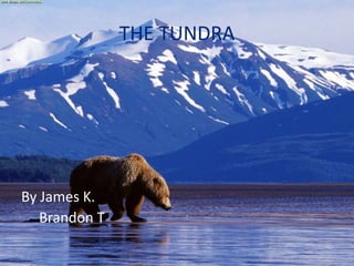 THE TUNDRA By James K.          Brandon T. 