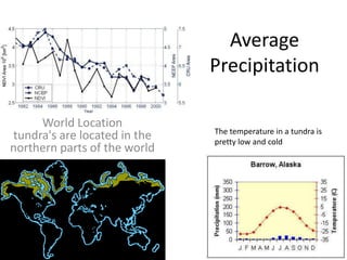 Average Precipitation World Locationtundra&apos;s are located in the northern parts of the world The temperature in a tundra is pretty low and cold 