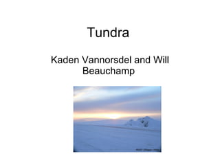 Tundra  Kaden Vannorsdel and Will Beauchamp  