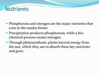 Nutrients

 Phosphorous and nitrogen are the major nutrients that
  exist in the tundra biome
 Precipitation produces phosphorous, while a bio-
  chemical process creates nitrogen.
 Through photosynthesis, plants harvest energy from
  the sun, which they use to absorb these key nutrients
  and grow.
 