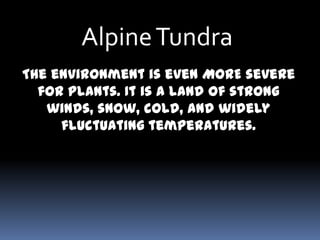 Alpine Tundra
The environment is even MORE severe
  for plants. It is a land of strong
   winds, snow, cold, and widely
     fluctuating temperatures.
 