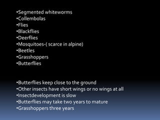 •Segmented whiteworms
•Collembolas
•Flies
•Blackflies
•Deerflies
•Mosquitoes-( scarce in alpine)
•Beetles
•Grasshoppers
•Butterflies


•Butterflies keep close to the ground
•Other insects have short wings or no wings at all
•Insectdevelopment is slow
•Butterflies may take two years to mature
•Grasshoppers three years
 