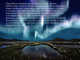 Vulnerabilă la schimbările prin care trece azi planeta - încălzire
globală, poluare, fel de fel de forme ale impactului dur al activităţii umane
asupra ecosistemelor - tundra este, în ciuda măreţiei, asprimii şi vastităţii
ei, un mediu natural ameninţat. Topirea permafrostului, modificarea
temperaturilor, alterarea ritmurilor naturale înseamnă, pentru formele de
viaţă adaptate la traiul în tundră, o schimbare uriaşă, cu consecinţe
dramatice, o dezechilibrare a întregii lor existenţe. Sunt multe (şi grele!) de
făcut pentru a păstra aceste ecosisteme, încă prea puţin studiate şi cunoscute
şi a căror însemnătate în viaţa Terrei - în viaţa noastră - probabil că nici n-o
înţelegem încă pe deplin.
 