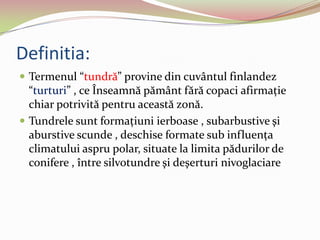 Definitia:
 Termenul “tundră” provine din cuvântul finlandez
“turturi” , ce Înseamnă pământ fără copaci afirmaţie
chiar potrivită pentru această zonă.
 Tundrele sunt formaţiuni ierboase , subarbustive şi
aburstive scunde , deschise formate sub influenţa
climatului aspru polar, situate la limita pădurilor de
conifere , între silvotundre şi deşerturi nivoglaciare
 