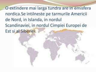 O extindere mai larga tundra are in emisfera
nordica.Se intilneste pe tarmurile Americii
de Nord, in Islanda, in nordul
Scandinaviei, in nordul Cimpiei Europei de
Est si al Siberiei.
 