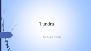 Tundra
Prof. Regina Andrade
 