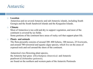 Antarctic
 Location
Antarctica and on several Antarctic and sub Antarctic islands, including South
Georgia and the South Sandwich Islands and the Kerguelen Islands.
 Climate
Most of Antarctica is too cold and dry to support vegetation, and most of the
continent is covered by ice fields.
Some portions of the continent have areas of rocky soil that support plant life.
 Plants and animals
The flora presently consists of around 300–400 lichens, 100 mosses, 25 liverworts,
and around 700 terrestrial and aquatic algae species, which live on the areas of
exposed rock and soil around the shore of the continent.
Antarctica's two flowering plant species,
the Antarctic hair grass (Deschampsia Antarctica) and Antarctic
pearlwort (Colobanthus quitensis),
are found on the northern and western parts of the Antarctic Peninsula
 