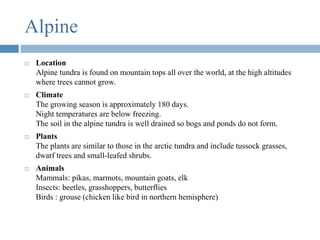 Alpine
 Location
Alpine tundra is found on mountain tops all over the world, at the high altitudes
where trees cannot grow.
 Climate
The growing season is approximately 180 days.
Night temperatures are below freezing.
The soil in the alpine tundra is well drained so bogs and ponds do not form.
 Plants
The plants are similar to those in the arctic tundra and include tussock grasses,
dwarf trees and small-leafed shrubs.
 Animals
Mammals: pikas, marmots, mountain goats, elk
Insects: beetles, grasshoppers, butterflies
Birds : grouse (chicken like bird in northern hemisphere)
 