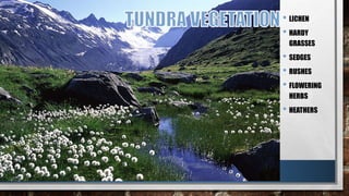 • LICHEN
• HARDY
GRASSES
• SEDGES
• RUSHES
• FLOWERING
HERBS
• HEATHERS
 