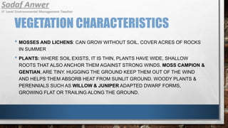 VEGETATION CHARACTERISTICS
• MOSSES AND LICHENS: CAN GROW WITHOUT SOIL, COVER ACRES OF ROCKS
IN SUMMER
• PLANTS: WHERE SOIL EXISTS, IT IS THIN, PLANTS HAVE WIDE, SHALLOW
ROOTS THAT ALSO ANCHOR THEM AGAINST STRONG WINDS. MOSS CAMPION &
GENTIAN, ARE TINY. HUGGING THE GROUND KEEP THEM OUT OF THE WIND
AND HELPS THEM ABSORB HEAT FROM SUNLIT GROUND. WOODY PLANTS &
PERENNIALS SUCH AS WILLOW & JUNIPER ADAPTED DWARF FORMS,
GROWING FLAT OR TRAILING ALONG THE GROUND.
 