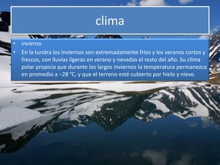 clima
• invierno
• En la tundra los inviernos son extremadamente fríos y los veranos cortos y
frescos, con lluvias ligeras en verano y nevadas el resto del año. Su clima
polar propicia que durante los largos inviernos la temperatura permanezca
en promedio a −28 °C, y que el terreno esté cubierto por hielo y nieve.
 