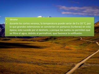• Verano
• durante los cortos veranos, la temperatura puede variar de 0 a 10 °C, por
lo que grandes extensiones se convierten en pantanos (turberas) en esta
época; esto sucede por el deshielo, y porque los suelos no permiten que
se filtre el agua, debido al permafrost, que favorece la solifluxión.
 