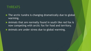 THREATS
 The arctic tundra is changing dramatically due to global
warming.
 Animals that are normally found in south like red fox is
now competing with arctic fox for food and territory.
 Animals are under stress due to global warming.
 
