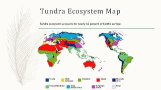 Tundra Ecosystem Map
Tundra ecosystem accounts for nearly 10 percent of Earth’s surface.
 
