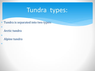  Tundra is separated into two types:

Arctic tundra

Alpine tundra

Tundra types:
 