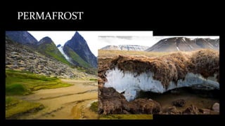 PERMAFROST
 
