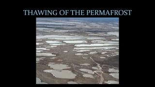 THAWING OF THE PERMAFROST
 