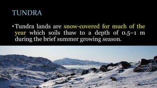 TUNDRA
• Tundra lands are snow-covered for much of the
year which soils thaw to a depth of 0.5–1 m
during the brief summer growing season.
 