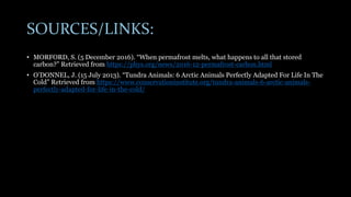 SOURCES/LINKS:
• MORFORD, S. (5 December 2016). “When permafrost melts, what happens to all that stored
carbon?” Retrieved from https://phys.org/news/2016-12-permafrost-carbon.html
• O’DONNEL, J. (15 July 2013). “Tundra Animals: 6 Arctic Animals Perfectly Adapted For Life In The
Cold” Retrieved from https://www.conservationinstitute.org/tundra-animals-6-arctic-animals-
perfectly-adapted-for-life-in-the-cold/
 