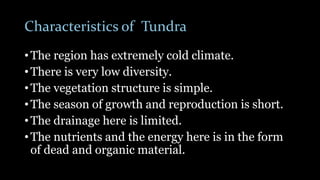 Characteristics of Tundra
• The region has extremely cold climate.
• There is very low diversity.
• The vegetation structure is simple.
• The season of growth and reproduction is short.
• The drainage here is limited.
• The nutrients and the energy here is in the form
of dead and organic material.
 