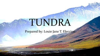 TUNDRA
Prepared by: Louie Jane T. Eleccion
 