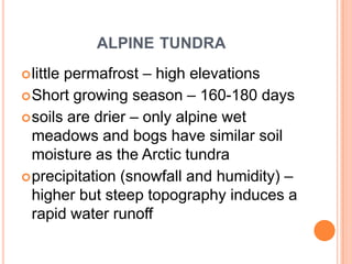 ALPINE TUNDRA
       permafrost – high elevations
 little
 Short growing season – 160-180 days
 soils are drier – only alpine wet
  meadows and bogs have similar soil
  moisture as the Arctic tundra
 precipitation (snowfall and humidity) –
  higher but steep topography induces a
  rapid water runoff
 
