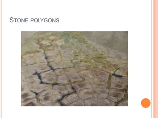 STONE POLYGONS
 