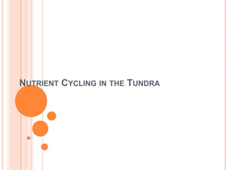 NUTRIENT CYCLING IN THE TUNDRA
 