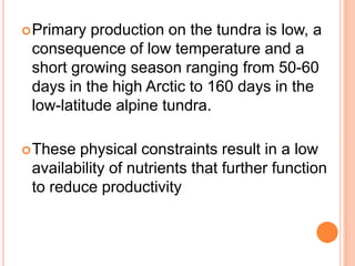  Primary  production on the tundra is low, a
 consequence of low temperature and a
 short growing season ranging from 50-60
 days in the high Arctic to 160 days in the
 low-latitude alpine tundra.

 These physical constraints result in a low
 availability of nutrients that further function
 to reduce productivity
 
