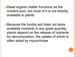  Dead organic matter functions as the
 nutrient pool, but most of it is not directly
 available to plants.

 Because  the tundra soil does not store
 available nutrients in any great quantity,
 plants depend on the release of nutrients
 for decomposition, the uptake of which is
 often aided by mycorrhizae
 