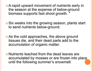 A rapid upward movement of nutrients early in
 the season at the expense of below-ground
 biomass supports fast shoot growth. *

 Sixweeks into the growing season, plants start
 to send nutrients below-ground.

 As the cold approaches, the above ground
 tissues die, and their dead parts add to the
 accumulation of organic matter.

 Nutrients leached from the dead leaves are
 accumulated by mosses or are frozen into place
 until the following summer’s snowmelt
 