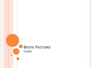 BIOTIC FACTORS
FLORA
 