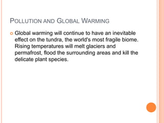 POLLUTION AND GLOBAL WARMING
   Global warming will continue to have an inevitable
    effect on the tundra, the world's most fragile biome.
    Rising temperatures will melt glaciers and
    permafrost, flood the surrounding areas and kill the
    delicate plant species.
 