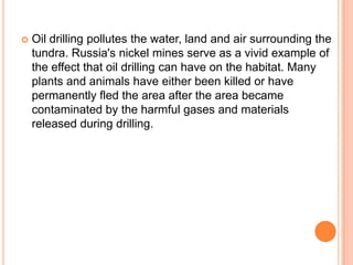    Oil drilling pollutes the water, land and air surrounding the
    tundra. Russia's nickel mines serve as a vivid example of
    the effect that oil drilling can have on the habitat. Many
    plants and animals have either been killed or have
    permanently fled the area after the area became
    contaminated by the harmful gases and materials
    released during drilling.
 