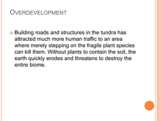 OVERDEVELOPMENT

   Building roads and structures in the tundra has
    attracted much more human traffic to an area
    where merely stepping on the fragile plant species
    can kill them. Without plants to contain the soil, the
    earth quickly erodes and threatens to destroy the
    entire biome.
 