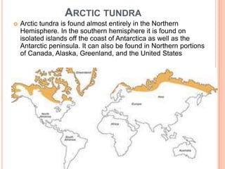 ARCTIC TUNDRA
   Arctic tundra is found almost entirely in the Northern
    Hemisphere. In the southern hemisphere it is found on
    isolated islands off the coast of Antarctica as well as the
    Antarctic peninsula. It can also be found in Northern portions
    of Canada, Alaska, Greenland, and the United States
 