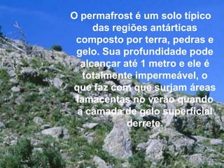O permafrost é um solo típico
     das regiões antárticas
 composto por terra, pedras e
 gelo. Sua profundidade pode
  alcançar até 1 metro e ele é
   totalmente impermeável, o
que faz com que surjam áreas
 lamacentas no verão quando
 a camada de gelo superficial
            derrete.
 