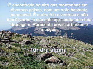 É encontrada no alto das montanhas em
  diversos países, com um solo bastante
  permeável. É muito fria e ventosa e não
tem árvores, e seu solo apresenta uma boa
  drenagem. Apresenta ervas, arbustos e
                 musgos.




          Tundra alpina
 
