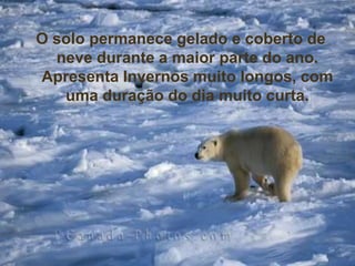 O solo permanece gelado e coberto de
  neve durante a maior parte do ano.
Apresenta Invernos muito longos, com
   uma duração do dia muito curta.
 