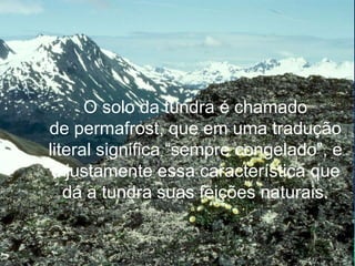 Tundra


      O solo da tundra é chamado
de permafrost, que em uma tradução
literal significa “sempre congelado”, e
 é justamente essa característica que
   dá a tundra suas feições naturais.
 