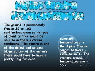The ground is permanently
frozen 25 to 100
centimetres down so no type
of plant or tree would be
able to in these extreme        Summer
conditions. The tundra is one   temperatures in
of the driest and coldest       the Alpine Climate
biome so any of the animals     ranges between -
there would have to have a      12˚C to 10˚C. The
pretty big fur coat.            average annual
                                temperature are -
                                56˚C.
 