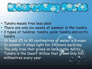 • Tundra means tree less plain
• There are only six weeks of summer in the tundra
• 3 types of tundras: tundra, polar tundra and arctic
  tundra
• At least 25 to 90 centimetres of water is frozen
• In summer it stays light for 24 hours each day
• The only tree that grows on land in the Arctic
  Tundra is the Dwarf Willow that grows only 100
  millimetres every year
 