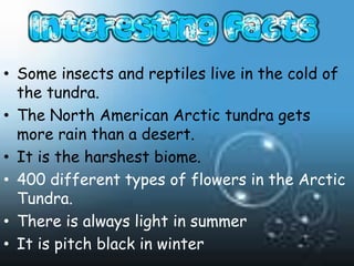 • Some insects and reptiles live in the cold of
  the tundra.
• The North American Arctic tundra gets
  more rain than a desert.
• It is the harshest biome.
• 400 different types of flowers in the Arctic
  Tundra.
• There is always light in summer
• It is pitch black in winter
 